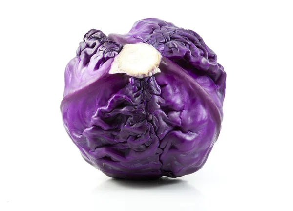 Rotkohl — Stockfoto