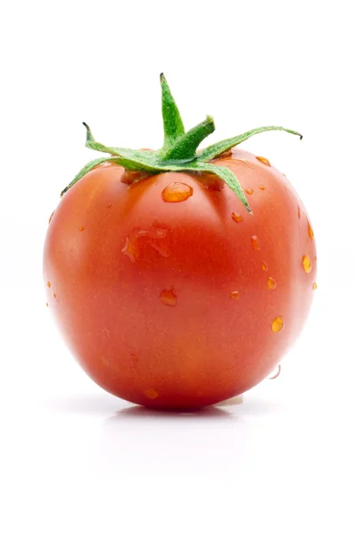 Taze ıslak domates — Stok fotoğraf