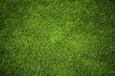 Grass Texture clipart