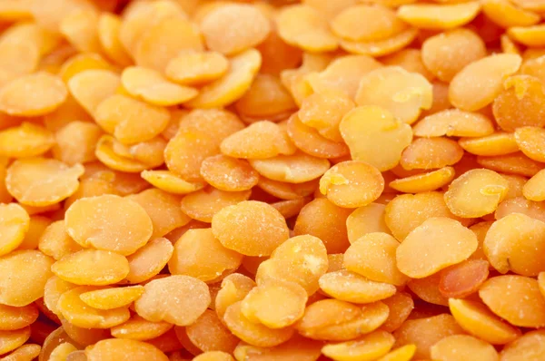 Lentil Kuning — Stok Foto