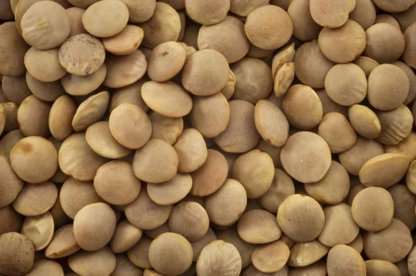 Lentil Texture — Stock Photo, Image