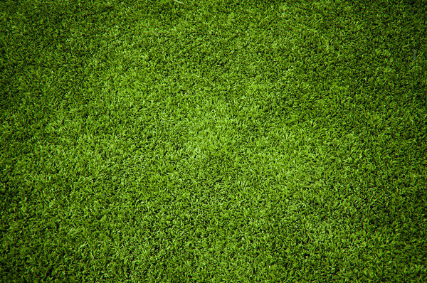 Травяная текстура