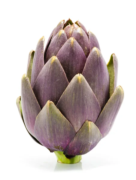 Alcachofa Fruta en blanco — Foto de Stock