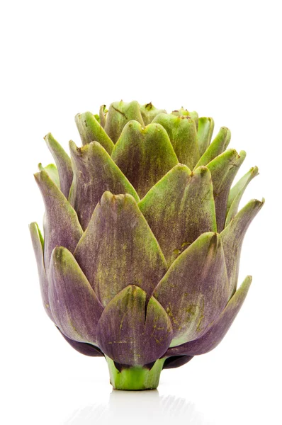 Artichoke Fruit Isolated — Stock Photo, Image