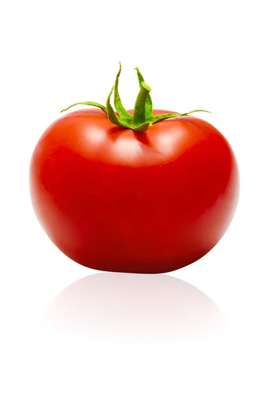 One Tomato — Stock Photo, Image