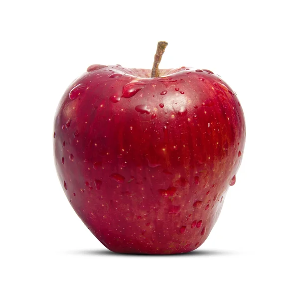 Verse natte apple — Stockfoto