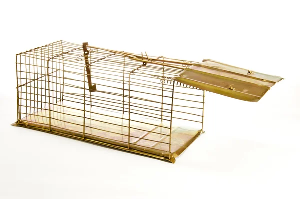 Ловушка для мышей — стоковое фото