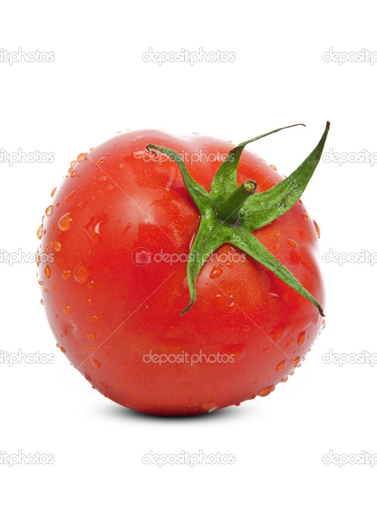 Fresh Wet Tomato