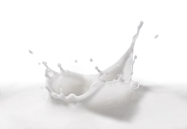 Milk Splash clipart