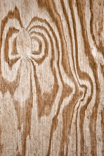 Wood Pattern — Stock Photo, Image