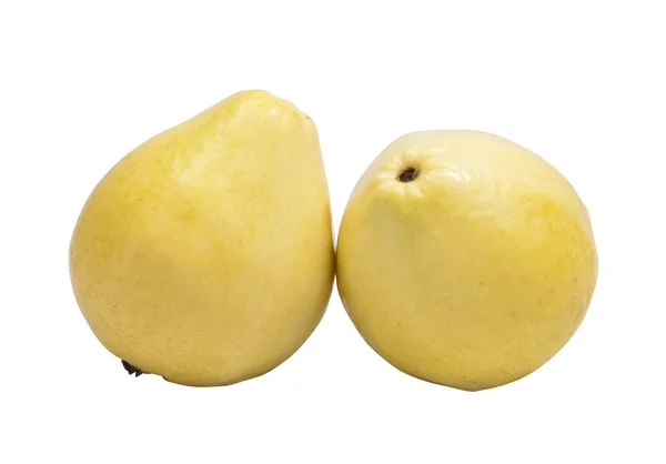 Iki beyaz guavas — Stok fotoğraf