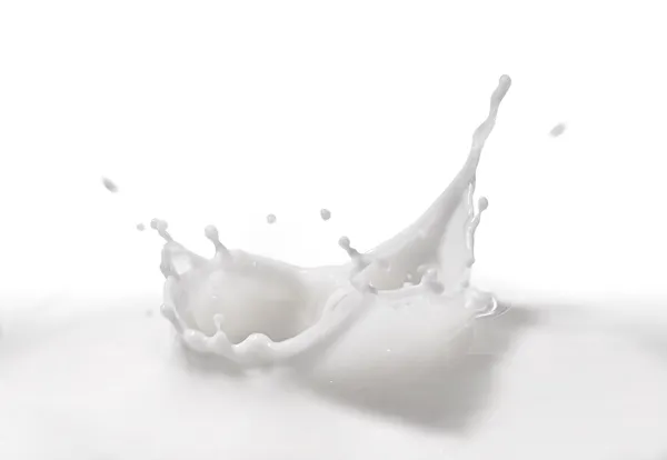 Milk Splash — Stock Photo, Image