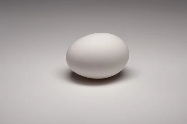Bir beyaz yumurta. — Stok fotoğraf