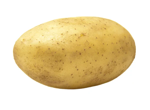 Patata fresca de granja —  Fotos de Stock