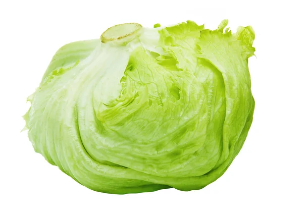 Iceberg verde Alcapucci — Foto Stock