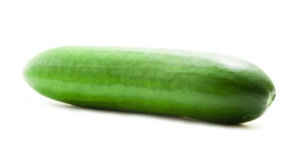 Één komkommer vruchten — Stockfoto