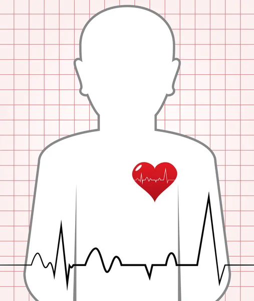 Lidské srdce bilo graf — Stockový vektor