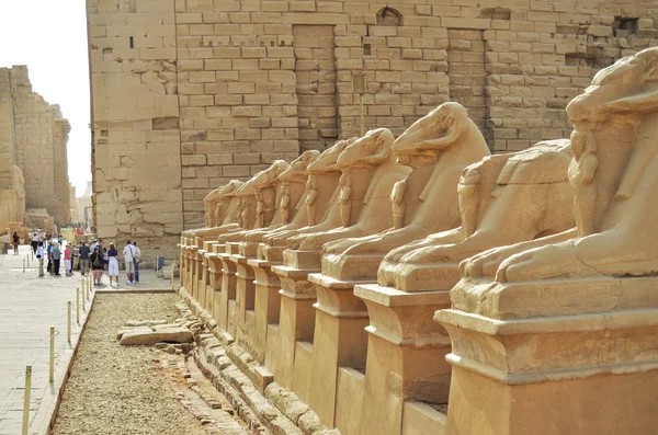 Avenida Sphinxes. Luxor, Egipto —  Fotos de Stock