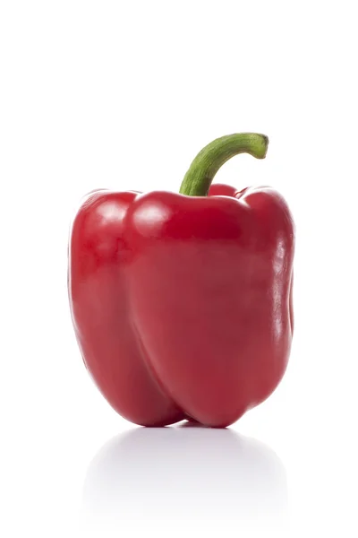 Fresh Red Paprika Fruit — Stock Photo, Image