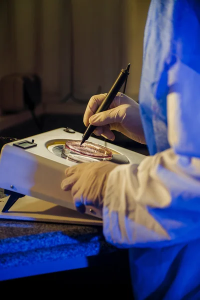 Pruebas bacteriológicas — Foto de Stock