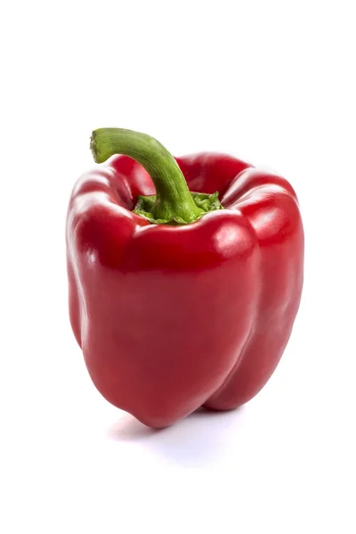 Fresh Red Paprika — Stock Photo, Image