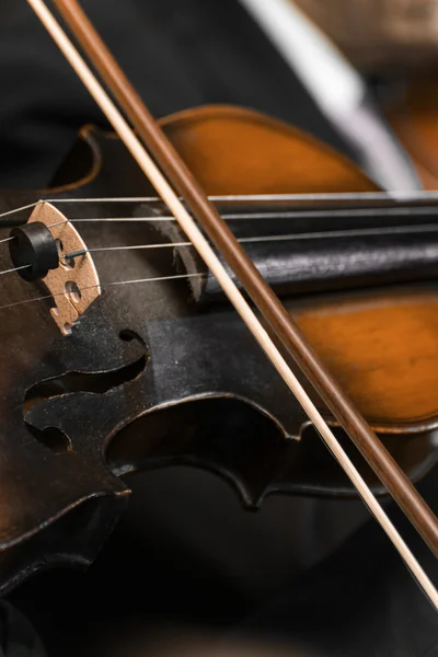 Violín. — Foto de Stock