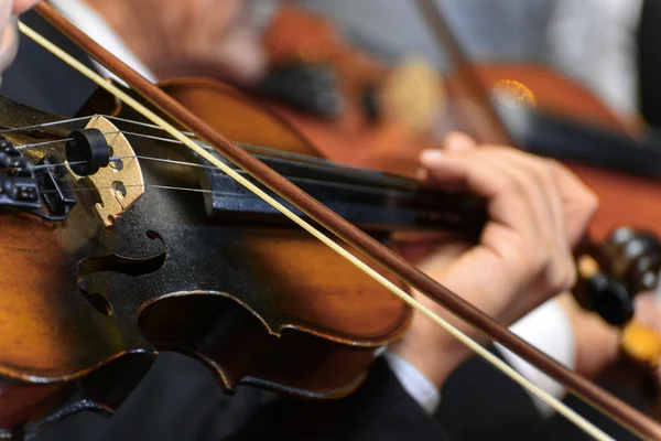 Sinfonia Violino — Fotografia de Stock