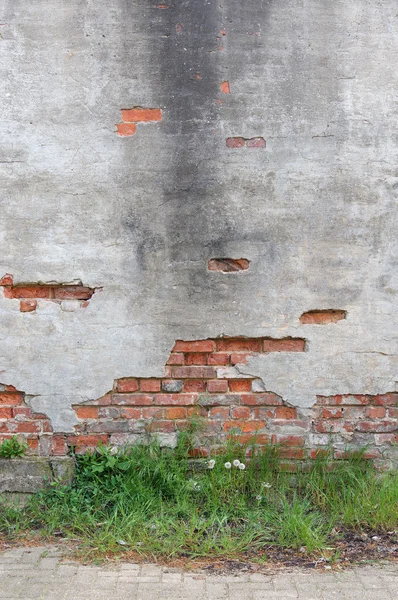 Pared abandonada —  Fotos de Stock