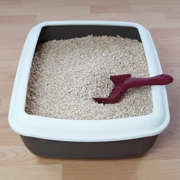 Cat litter box — Stock Photo, Image