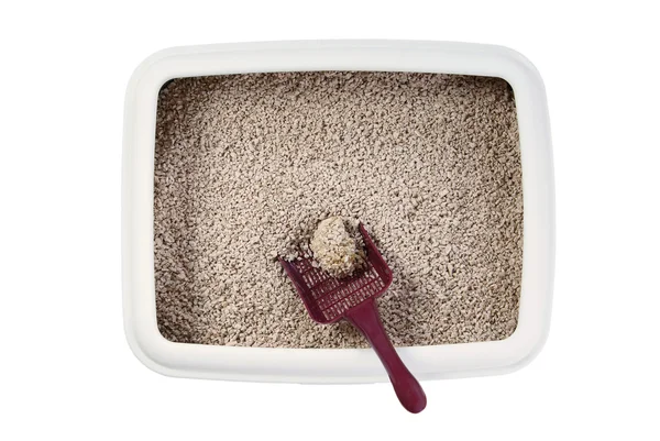 Cat litter box — Stock Photo, Image