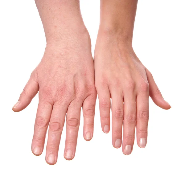 Female hands Stock Picture