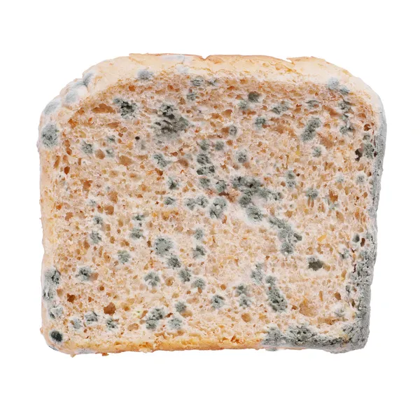 Beschimmeld brood — Stockfoto