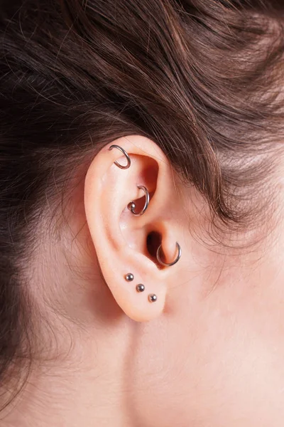 Ear with earrings including helix rook tragus and lobe piercings — Stock Photo, Image