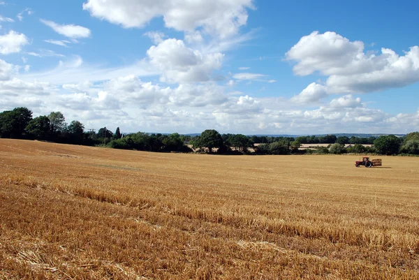 Campo raccolto — Foto Stock