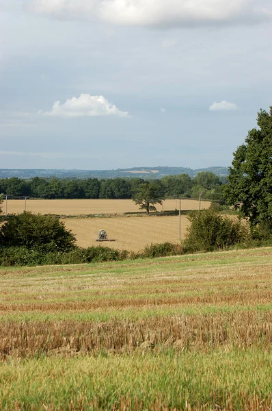 Landbouwgrond in de oogsttijd — Stockfoto