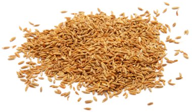 tüm kimyon tohumları