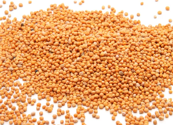 Whole mustard seeds — Stock Photo, Image