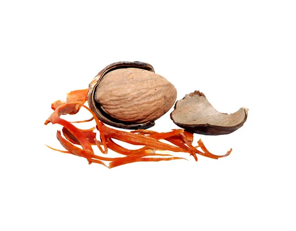 Whole nutmeg broken open with mace and seed case — Stock Photo, Image