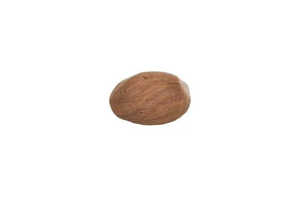 One whole nutmeg — 图库照片