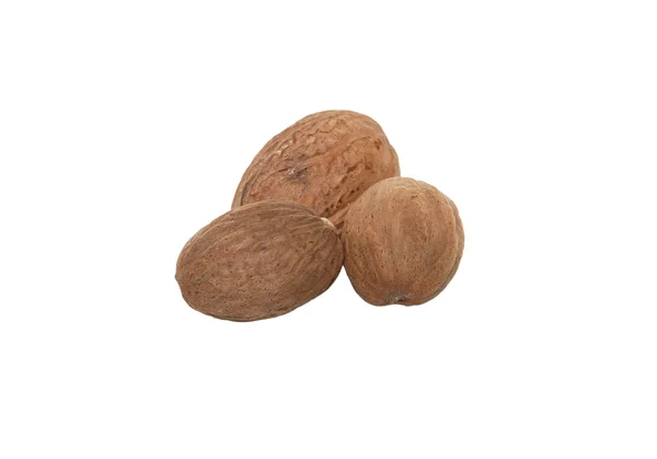 Three whole nutmeg — Stock Photo, Image