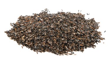 Nijer tohumu kuş gıda