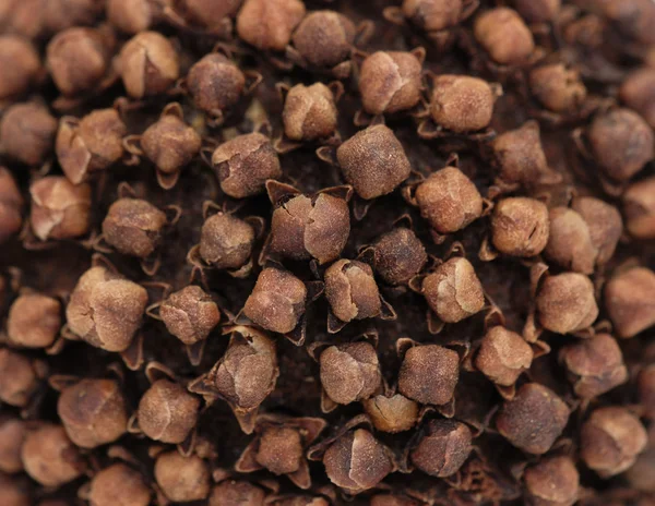 Fechar-se de cravo preso em um pomander laranja — Fotografia de Stock