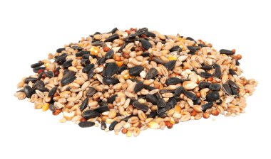 Pile of bird seed including sunflower seeds, wheat and maize clipart