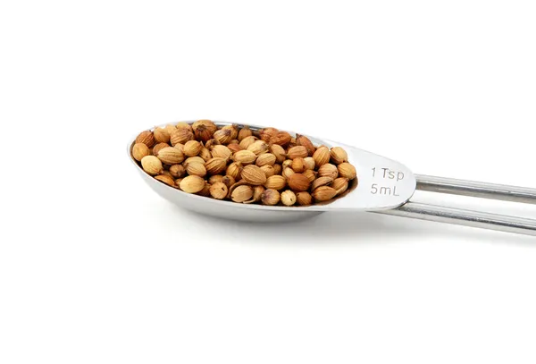 Whole coriander or cilantro seeds measured in a metal teaspoon, — Stock Photo, Image