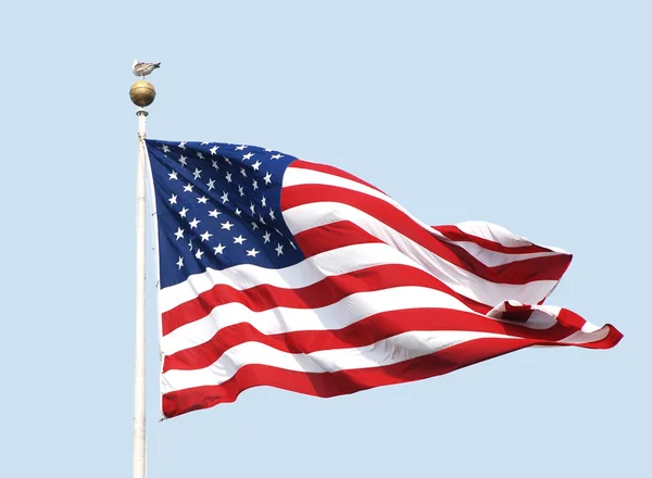 A bandeira americana voa num dia ensolarado contra um céu azul claro . Imagens De Bancos De Imagens Sem Royalties