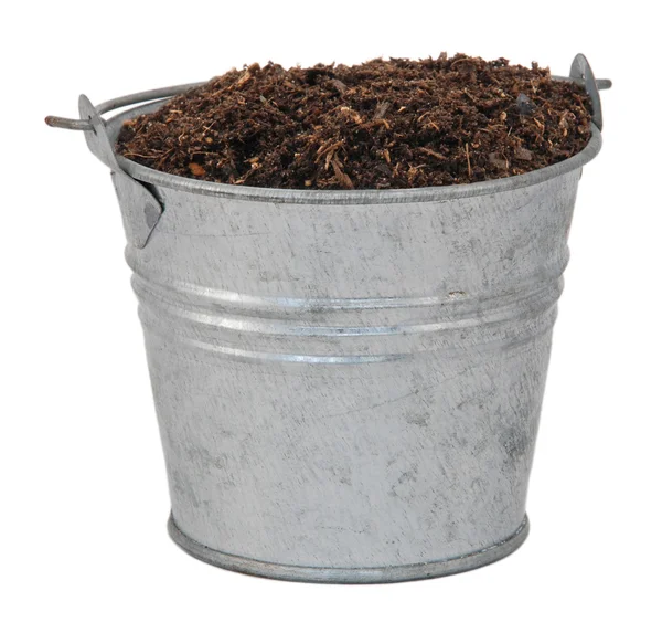 Kompost, gleby lub brud w miniaturowe metalowe wiadro Zdjęcie Stockowe