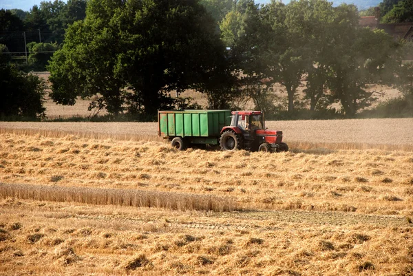 Traktor dra släpvagn i ett skördade fält — Stockfoto