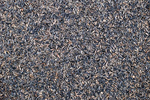 Niger nasion tło — Zdjęcie stockowe