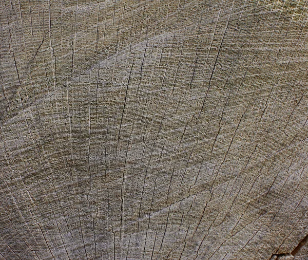 Drobne ziarno drewna — Zdjęcie stockowe