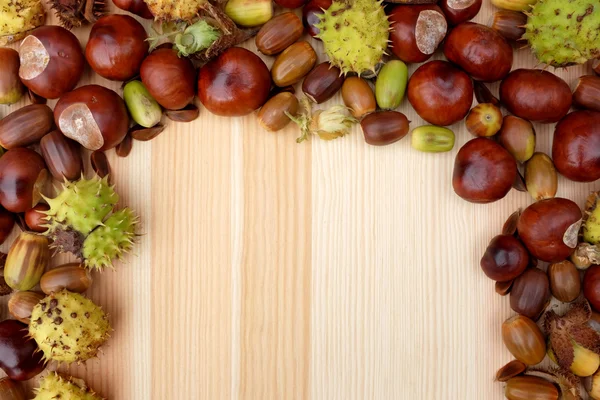 Border of natural fall material - acorns, horse chestnuts, beech — Stock Photo, Image